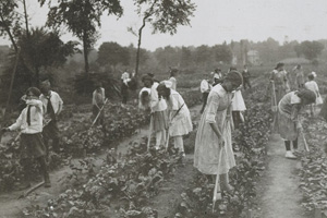 Historical victory garden